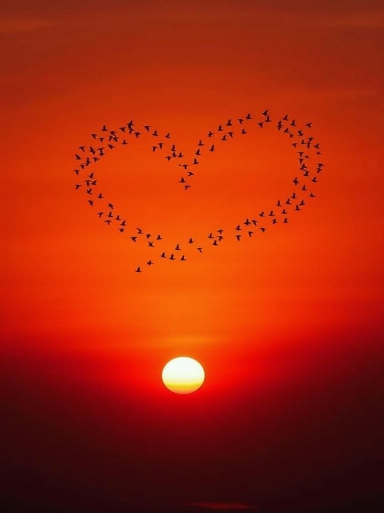 A vibrant sunset over the horizon. A glowing sun setting on the horizon. The sky transitions from deep red to darker shades. Birds flying in the shape of a heart. A peaceful and striking natural scene.