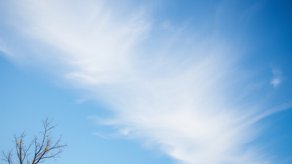 A bare tree against a vast expanse of blue sky with wispy clouds.